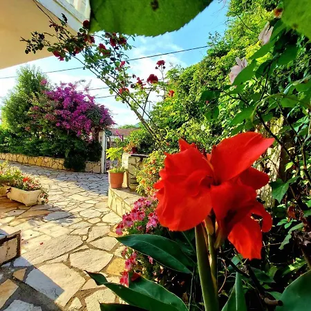 Apartment Dantina Agios Gordios *