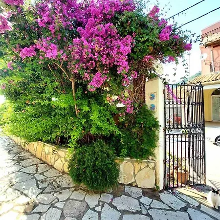 Dantina Agios Gordios Lägenhet *